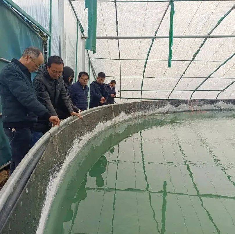 养殖石斑鱼育苗方法