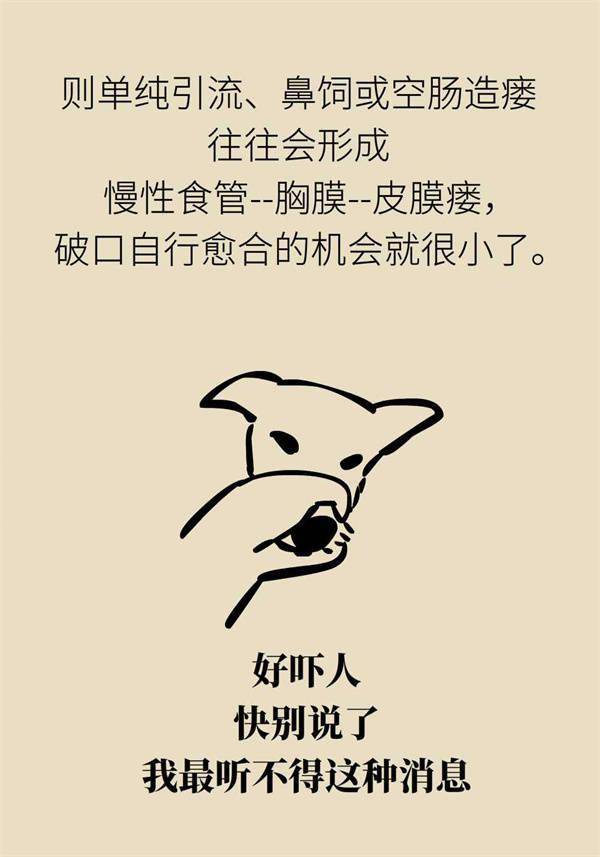 胡偉鵬|酒醉嘔吐有多兇險？警惕食管破裂！