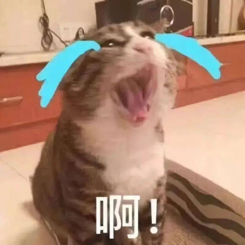 肿块|46岁女子陪读被气到急性脑梗死！厦门妈妈控诉“血泪”史：我辅导三年，现在乳腺肿块刚做完手术...