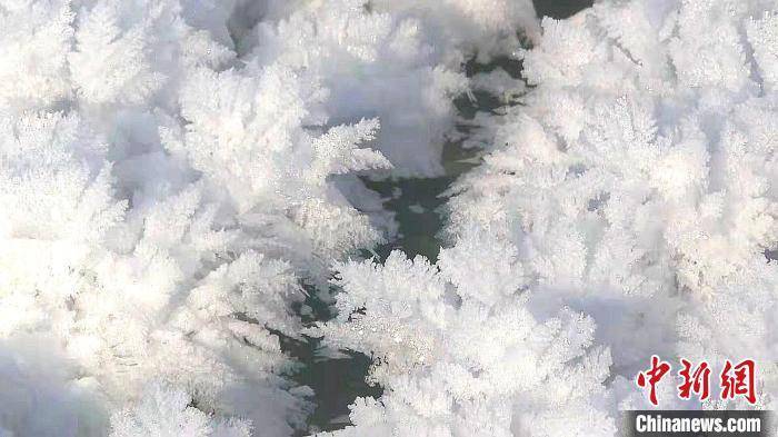新疆博斯腾湖出现冰花奇观