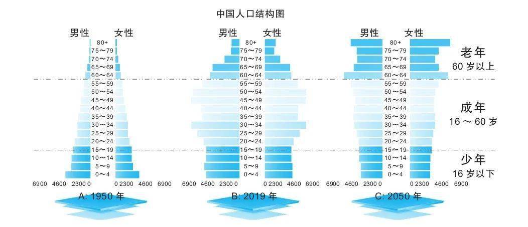 中国人口构成图图片