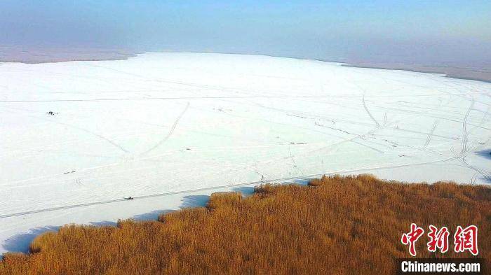 游客|新疆博斯腾湖出现冰花奇观