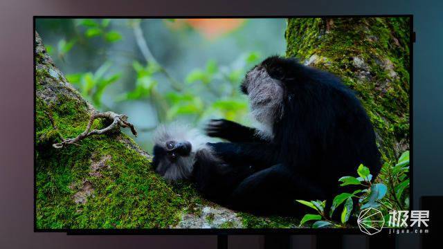 创维S82深度评测：专业调色师都“挑不出刺”的屏幕，怎么盘出不一样的美感？