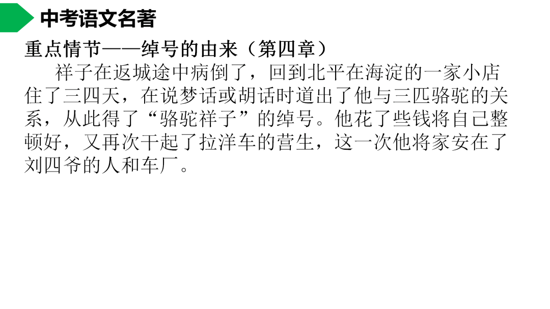 祥子|初中语文 | 七年级下册：《骆驼祥子》名著导读+思维导图 +考点合集，寒假预习必收！