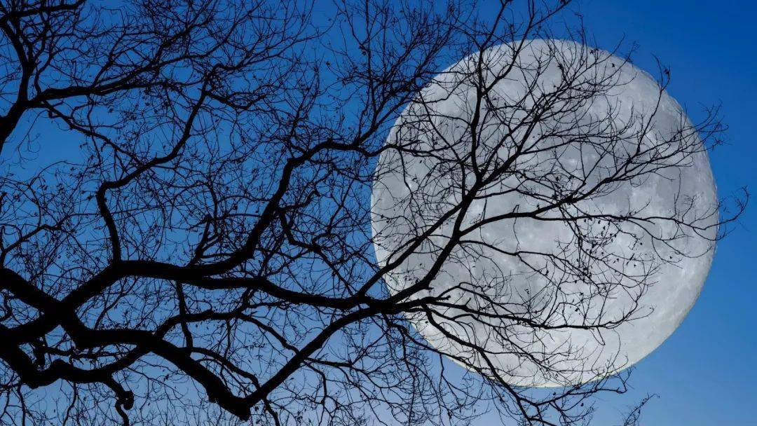 最经典的10首唐诗,大漠如雪,燕月似钩,这想象力绝了_马诗_李白_高轩