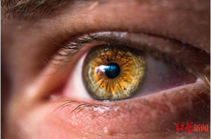 未来|眼睛竟是“年龄之窗”？视网膜或可预测未来十年疾病和死亡风险