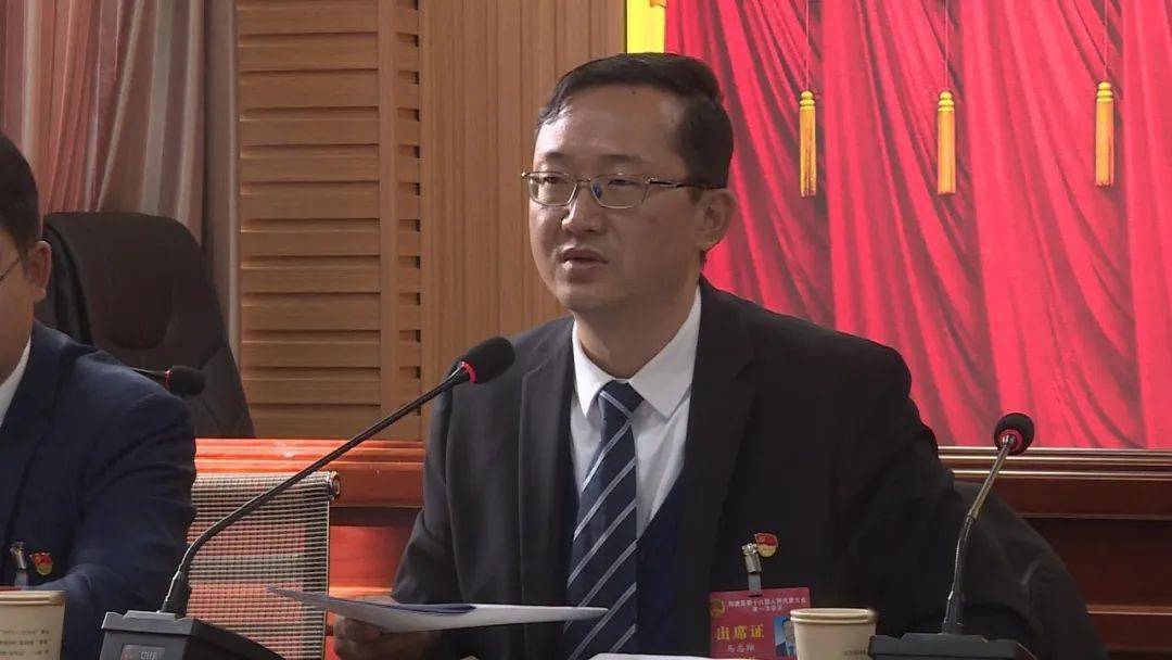 马志翔参加寅街代表团审议,提出了这些要求……_工作_弥渡_全力