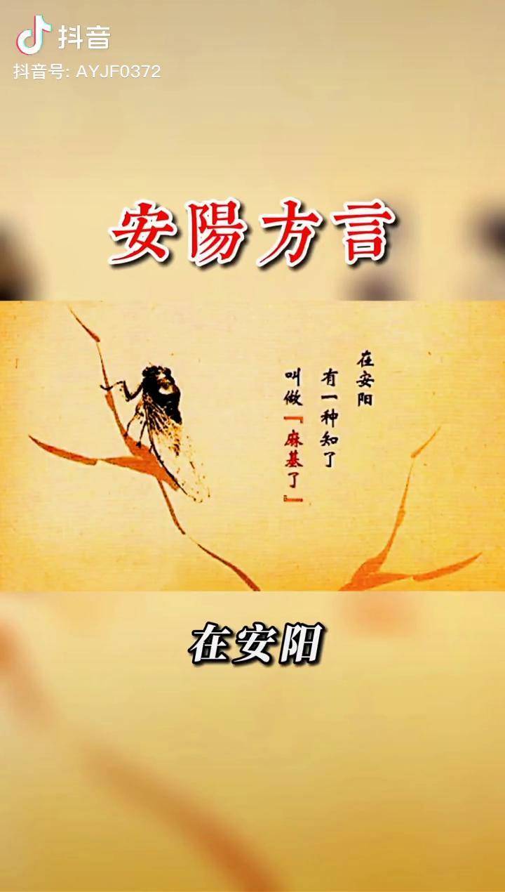 安阳方言麻基了的安阳街访遇见最美安阳2021