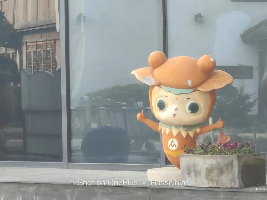 四款骁龙8系列手机拍照横评！各有各的离谱。。。