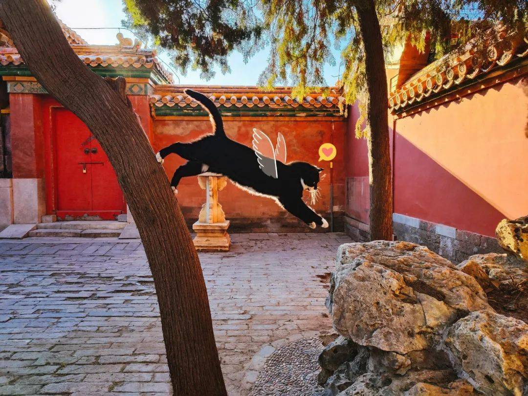 贺岁|顶流明星贺岁,送你全年表情包