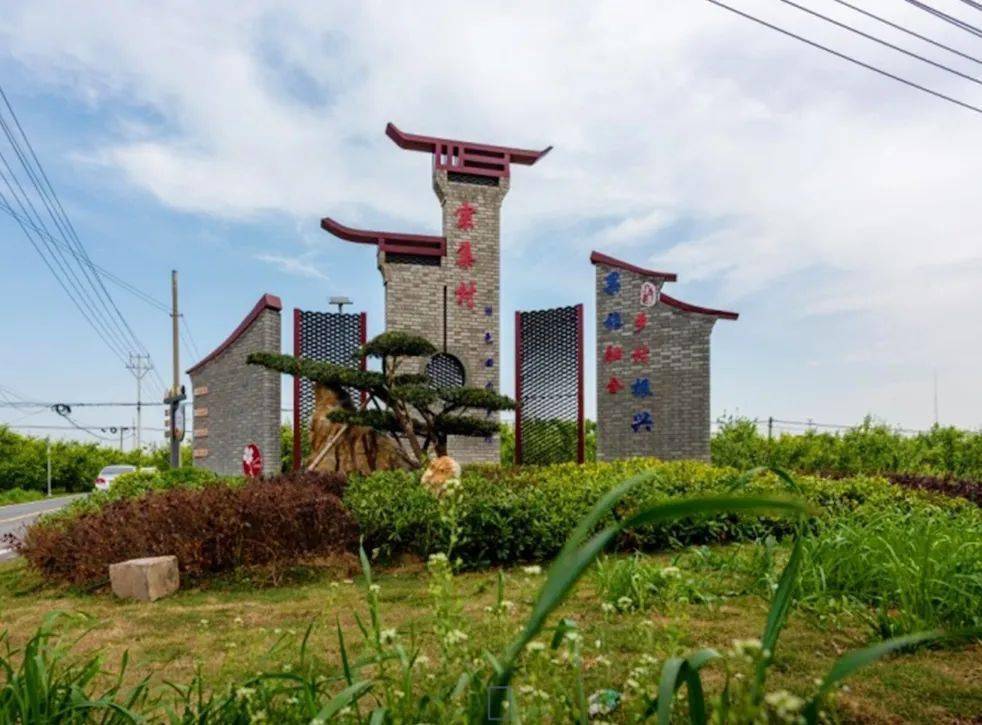 走进丰县大沙河镇:"陪伴式"规划,共绘乡村新模样