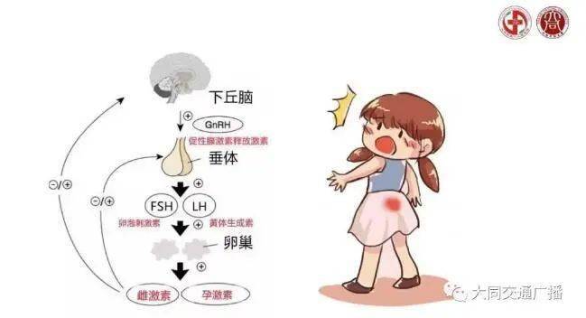 来自搜狐网