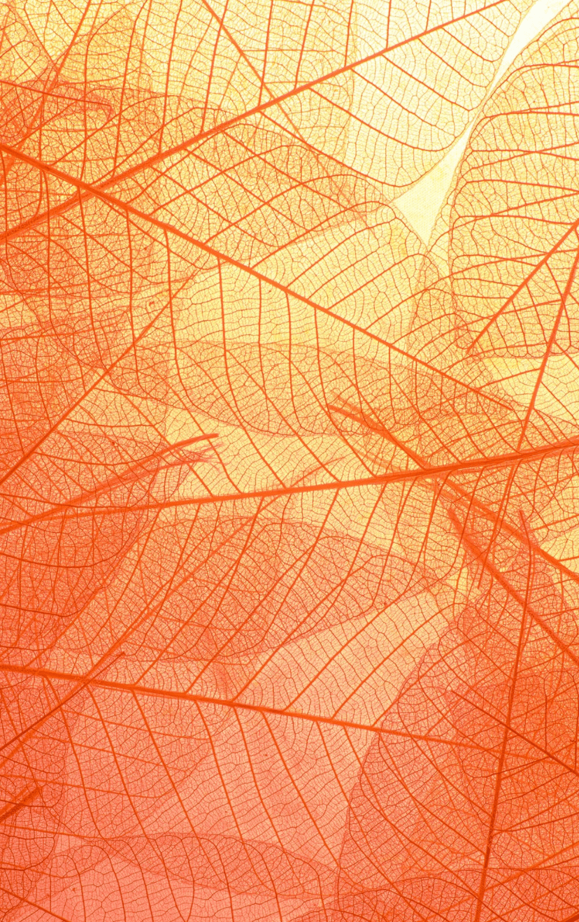 d60bb47e6e144cc5a4c6c0b03b874e3c.png