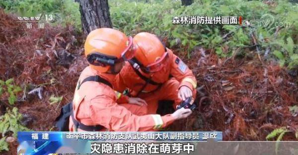 福建|森林火警电话你知道吗？武夷山国家公园动植物种类丰富 森林消防加强巡护