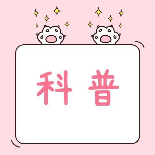 带你领略欢笑背后的生活智慧