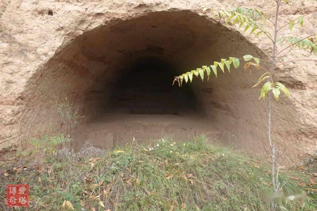 唐新城长公主墓