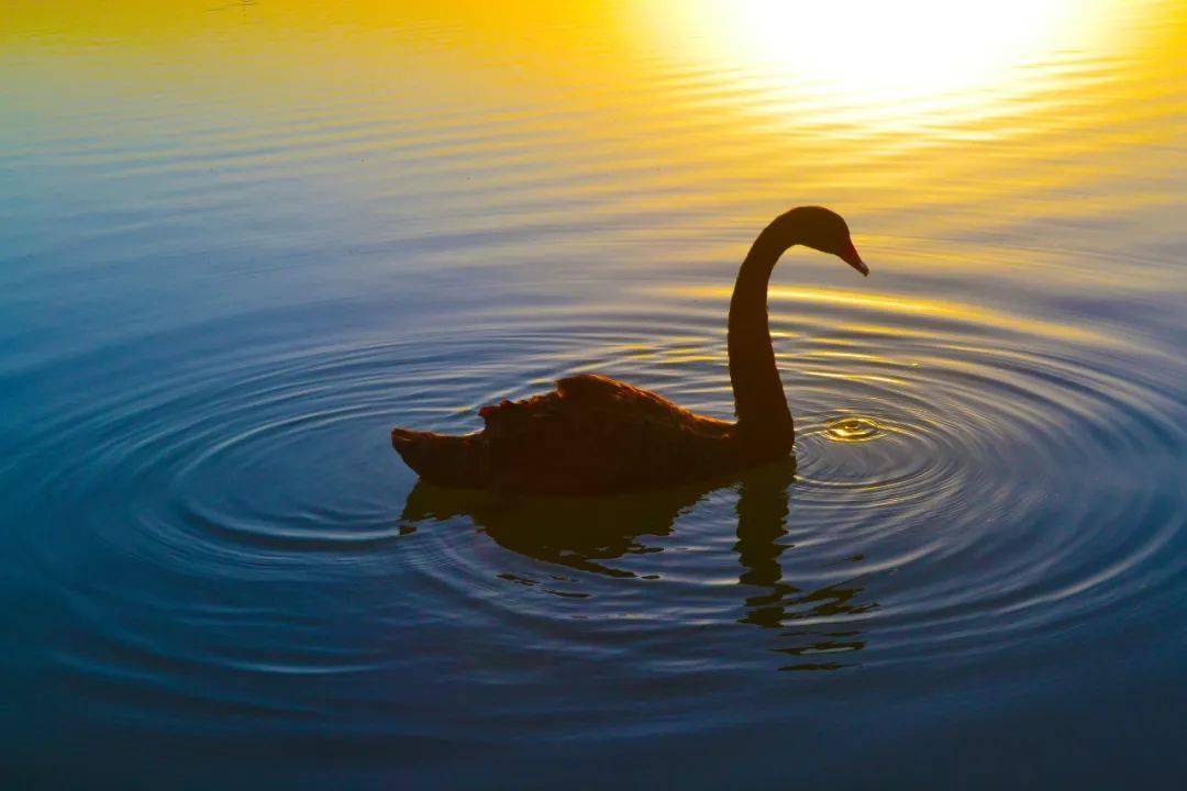 三次爆仓东山再起这是我全职期货交易的第五年