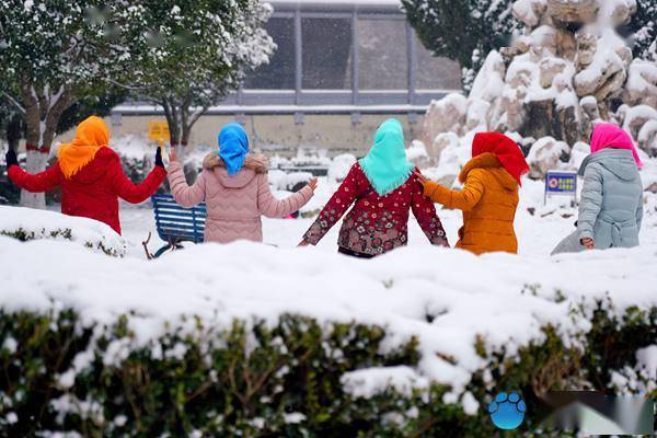 市民|郑州连日降雪秒变“雪地游乐场”市民玩嗨了