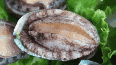 限时年货佛跳墙165元一盒青岛鲍鱼乳山生蚝即食海参过年必备