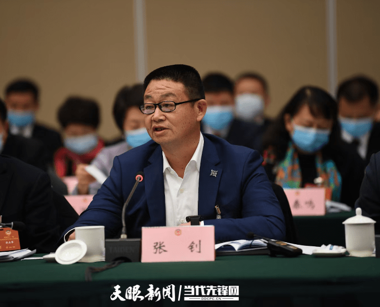 【两会现场速递】张钊委员:将绿色双碳经济打造成贵州的名片_发电_新能源_产业