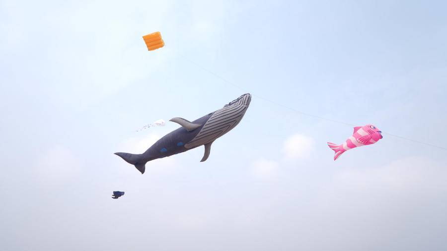 2022米长串潍坊风筝飞天为北京冬奥会加油