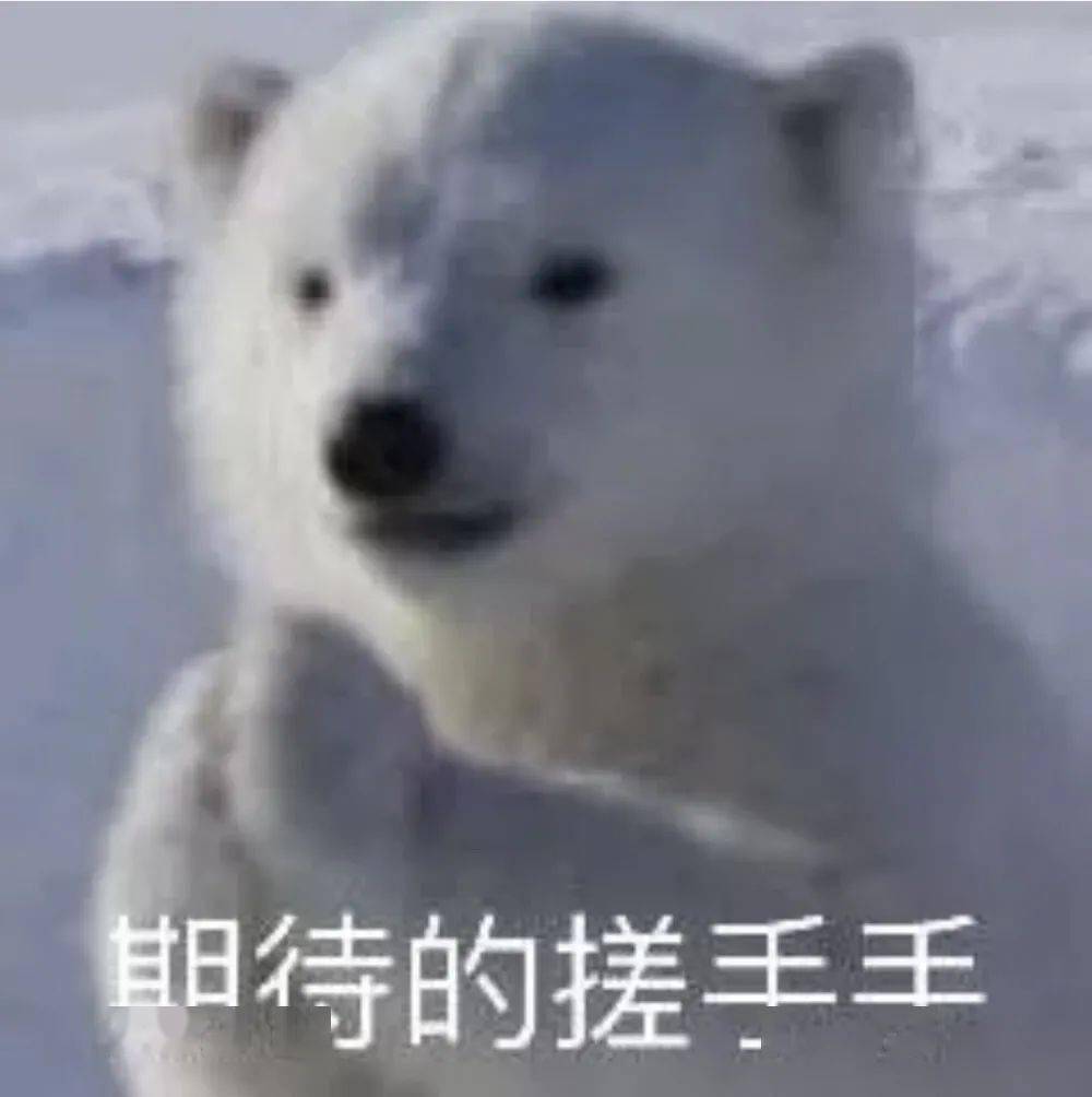 自律表情包搞笑 6aaaebd80a594107b0eb2137a85ad3a7.jpeg