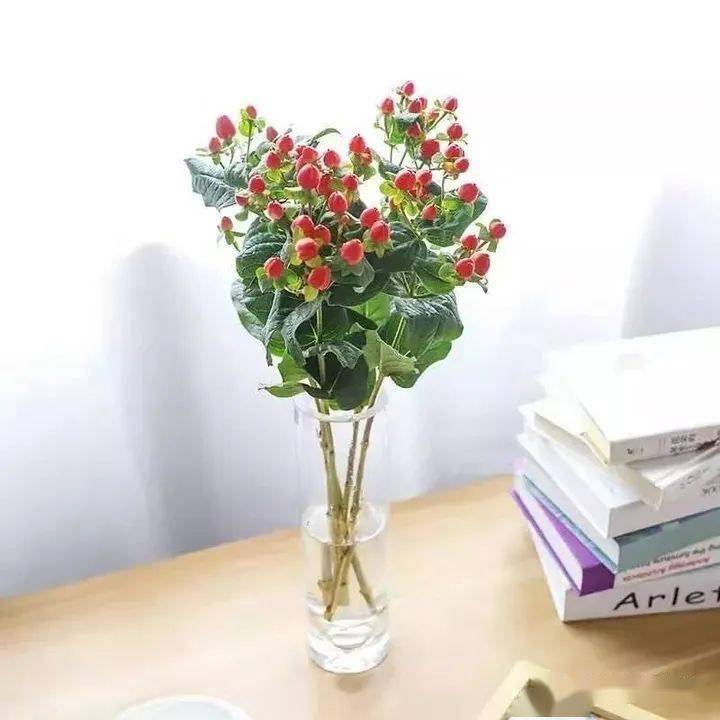 有哪些适合过年期间摆放在家里 又充满美好寓意的植物 看这里 养护 千层金 雪柳