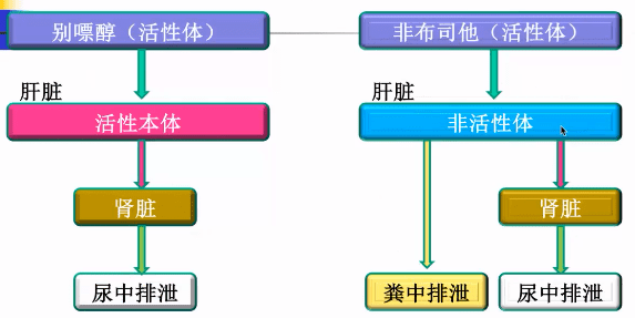 只通過腎臟排洩,是單途徑排洩