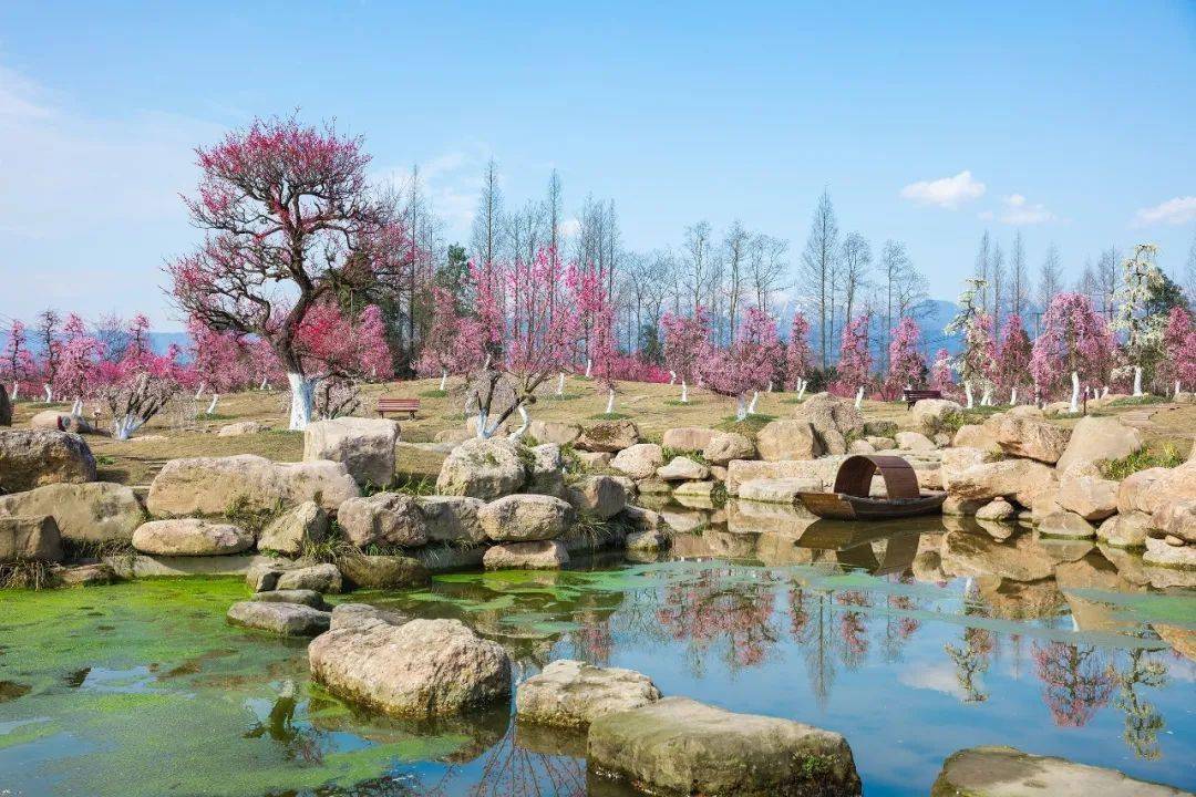 山景|在都江堰过年 | 到青城山看花海、住民宿、泡温泉，速度安排！