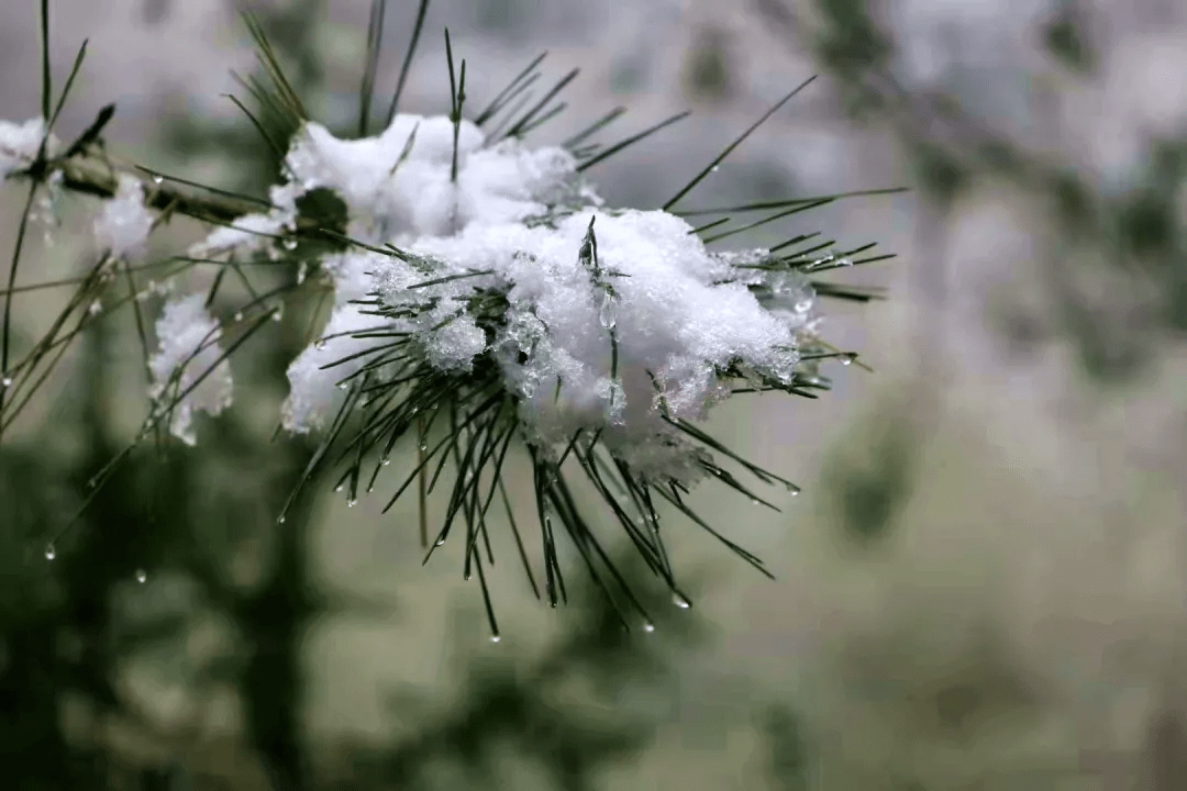 疫情雪后小城，每一帧都美成屏保!