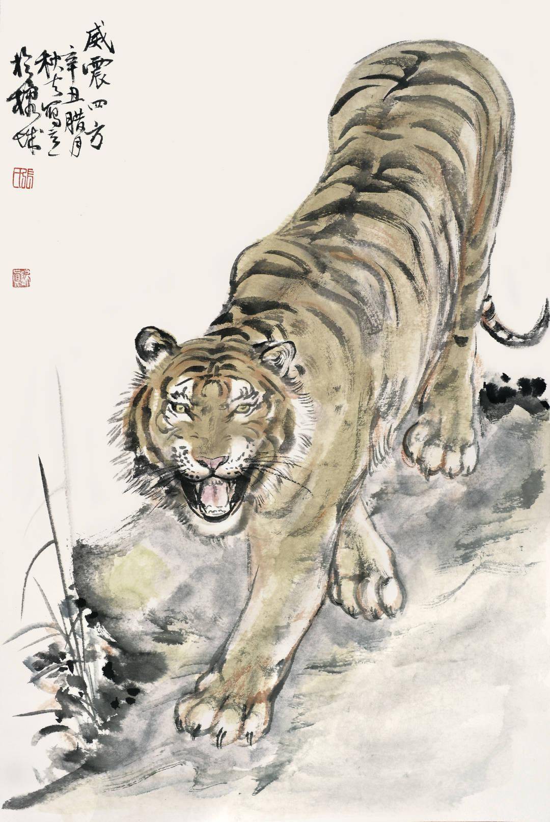 张永海虎年话福一饱眼虎