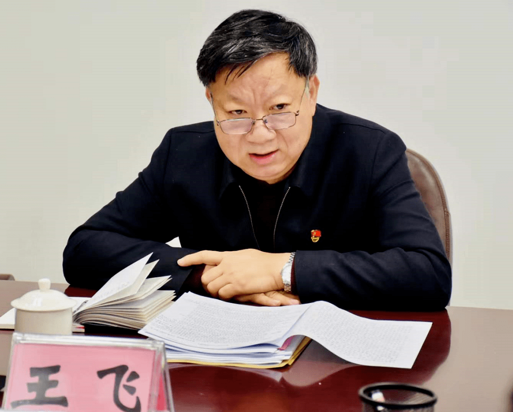 市委第三巡回指导组王飞组长对市发改委专题民主生活会进行了点评讲话