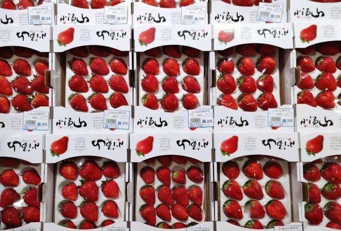 种类|这些年货采购地已备好，坚果、糕点、零食、熟食赶紧囤起来吧！