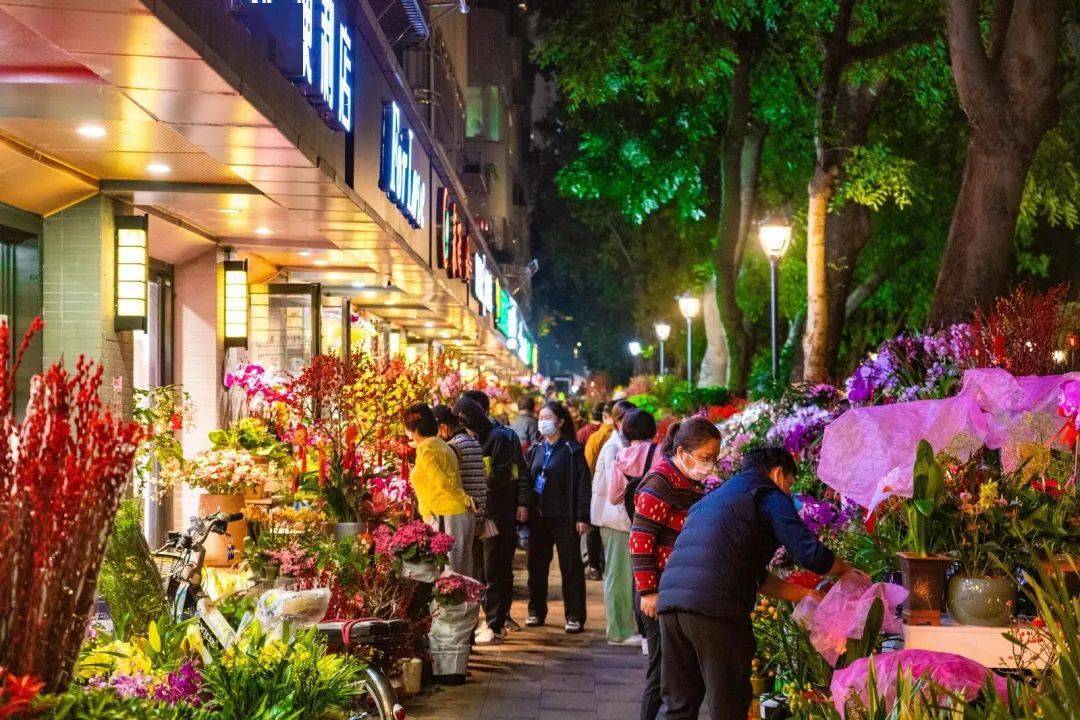 超2000个花档深圳迎春花市350个购花点看看哪个离你最近