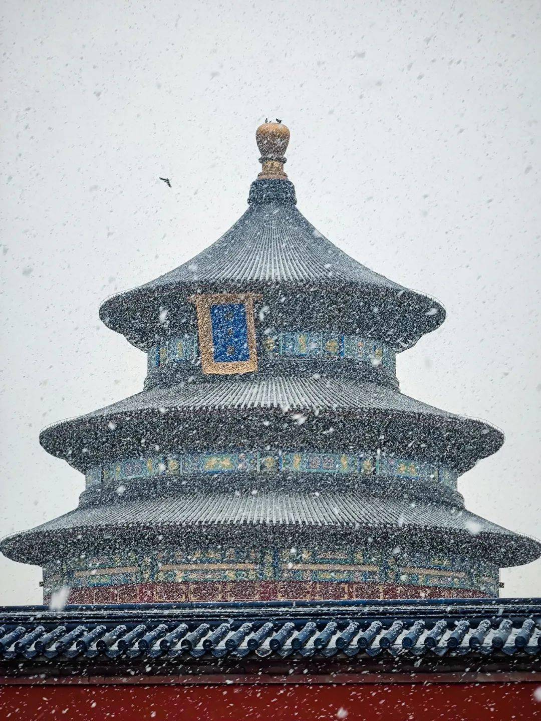 牛铭乾|错过这波，只能明年再见！