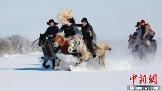 雪地|新疆高原牧民冬季茫茫雪地刁羊