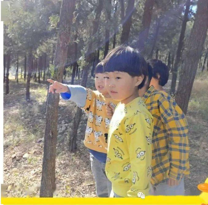 活动|费县费城街道中心幼儿园 | 实干笃行，匠心向阳