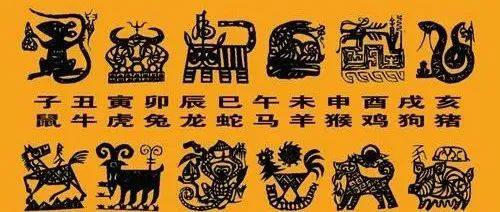 属蛇聪明,属猴精明,12属相智商排行,看看你排几_大脑_事情_问题