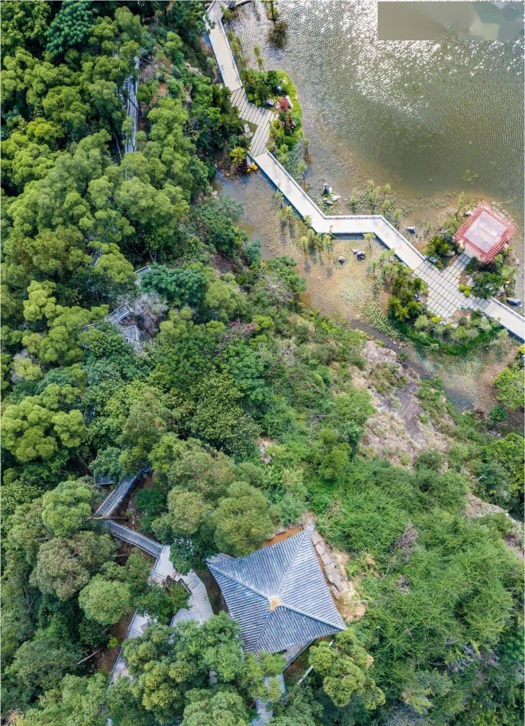 小榄又有2个公园在春节前开放_群众_社区_东区