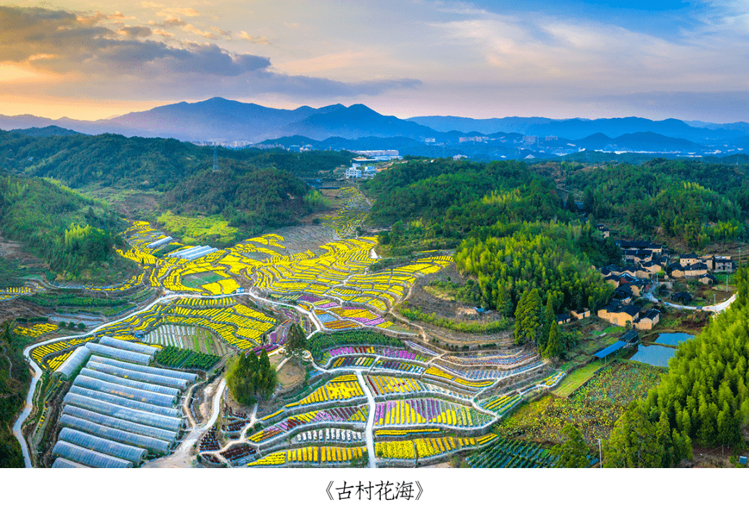 福见宁德游我来说屏南县文体旅局局长虎年虎将故里过福年