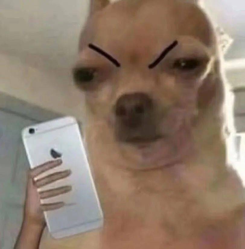 头发黑芝麻丸，还要骗我们多久？