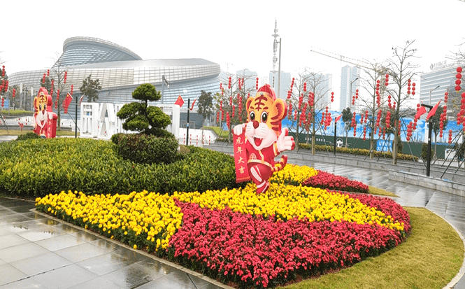 新春乐游蓬江⑧大街小巷换新装摆花造景过新年