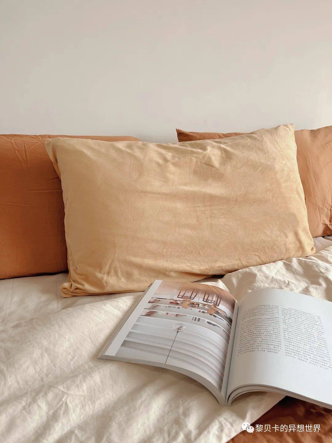 贝壳分享|| 她们买的这些，都是我的心头好！