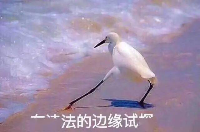 头发黑芝麻丸，还要骗我们多久？