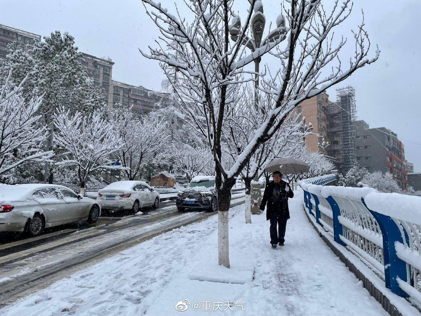 重庆城口县城雪景积雪厚度已超8厘米