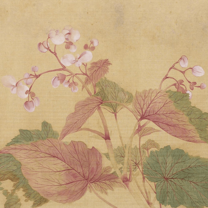 色彩跟着上海春节的颜色来一次海派城市考古