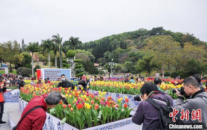 郁金香花园荷兰主题沉浸式花艺装置在广州揭幕