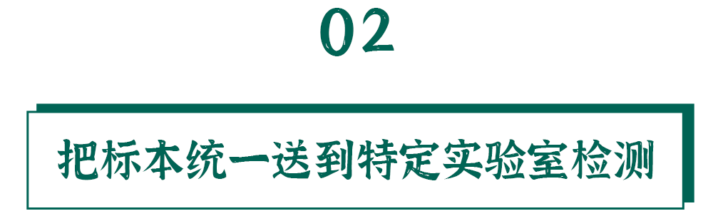 检测|核酸的检测有多麻烦？看完我都不好意思催结果了