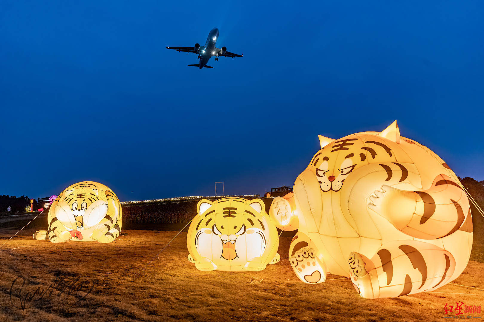 花海|想去花海追光拍飞机吗？成都空港花田梦幻夜场今起开放