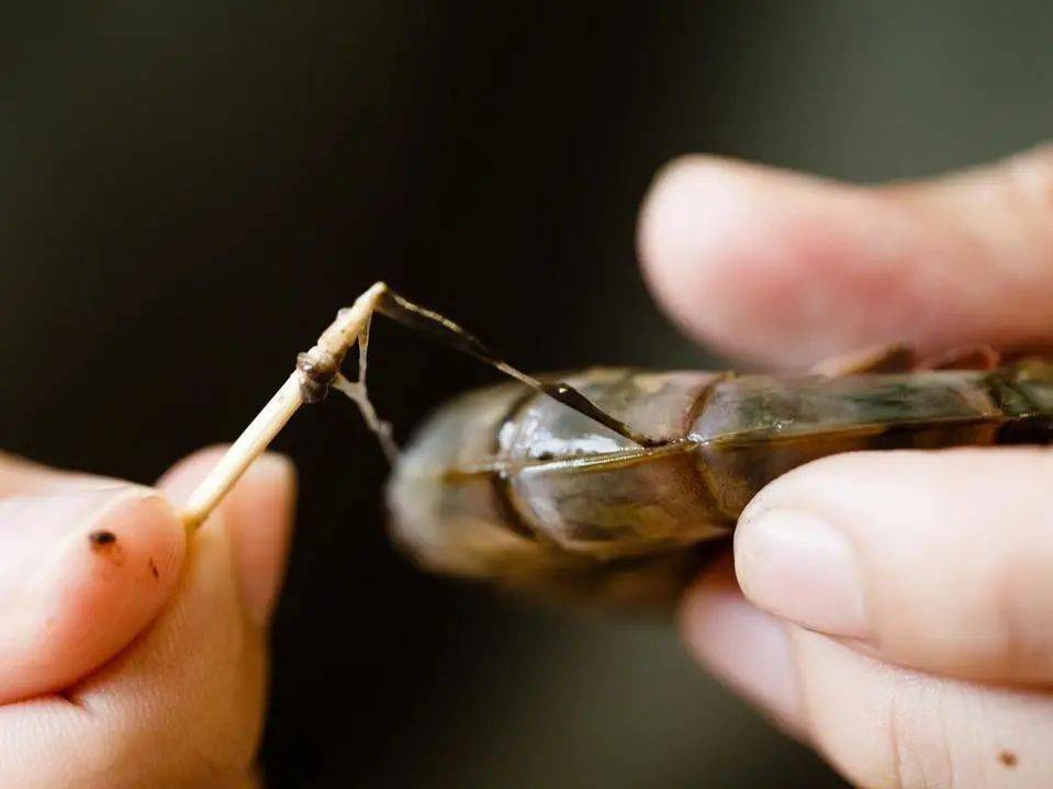 食谱|虾兵虾将:“年夜饭餐桌可不能少了我们哦~”